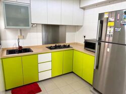 Blk 209A Compassvale View (Sengkang), HDB 4 Rooms #633881561